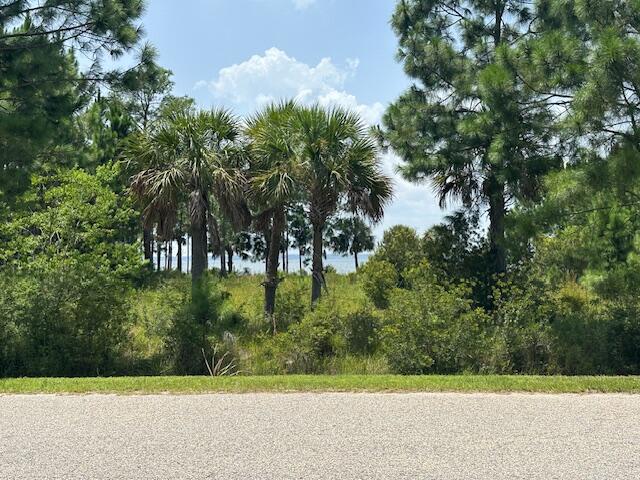 1076 Pearson Road Milton, FL 32583 - Photo 5 of 6 a view of a park