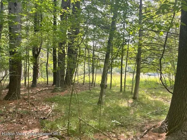 $25,000 | Gayhead-earlton Gayhead-Earlton Road, Earlton, NY 12058