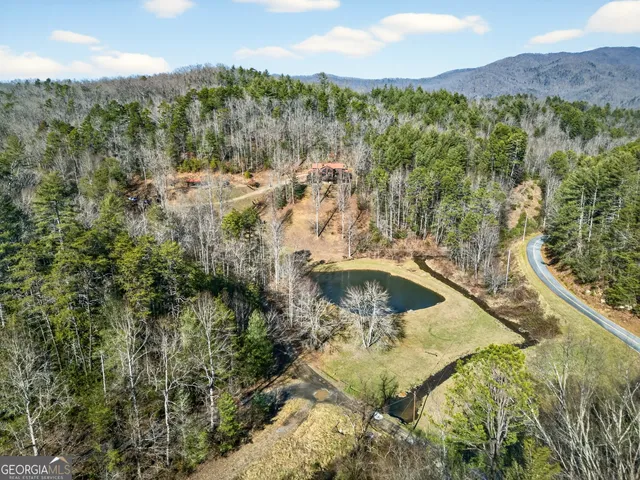 a view of a yard with large trees