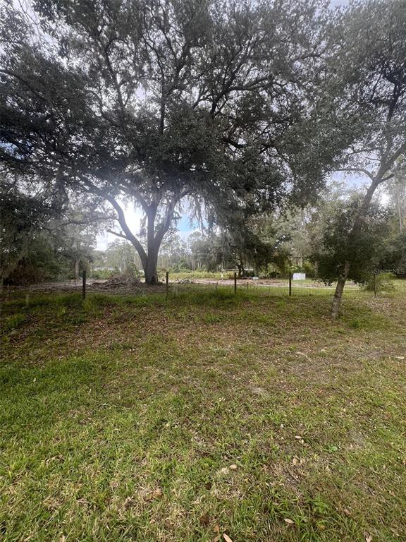 205 Whispering Pines Road Georgetown, FL 32139 - Photo 1 of 1