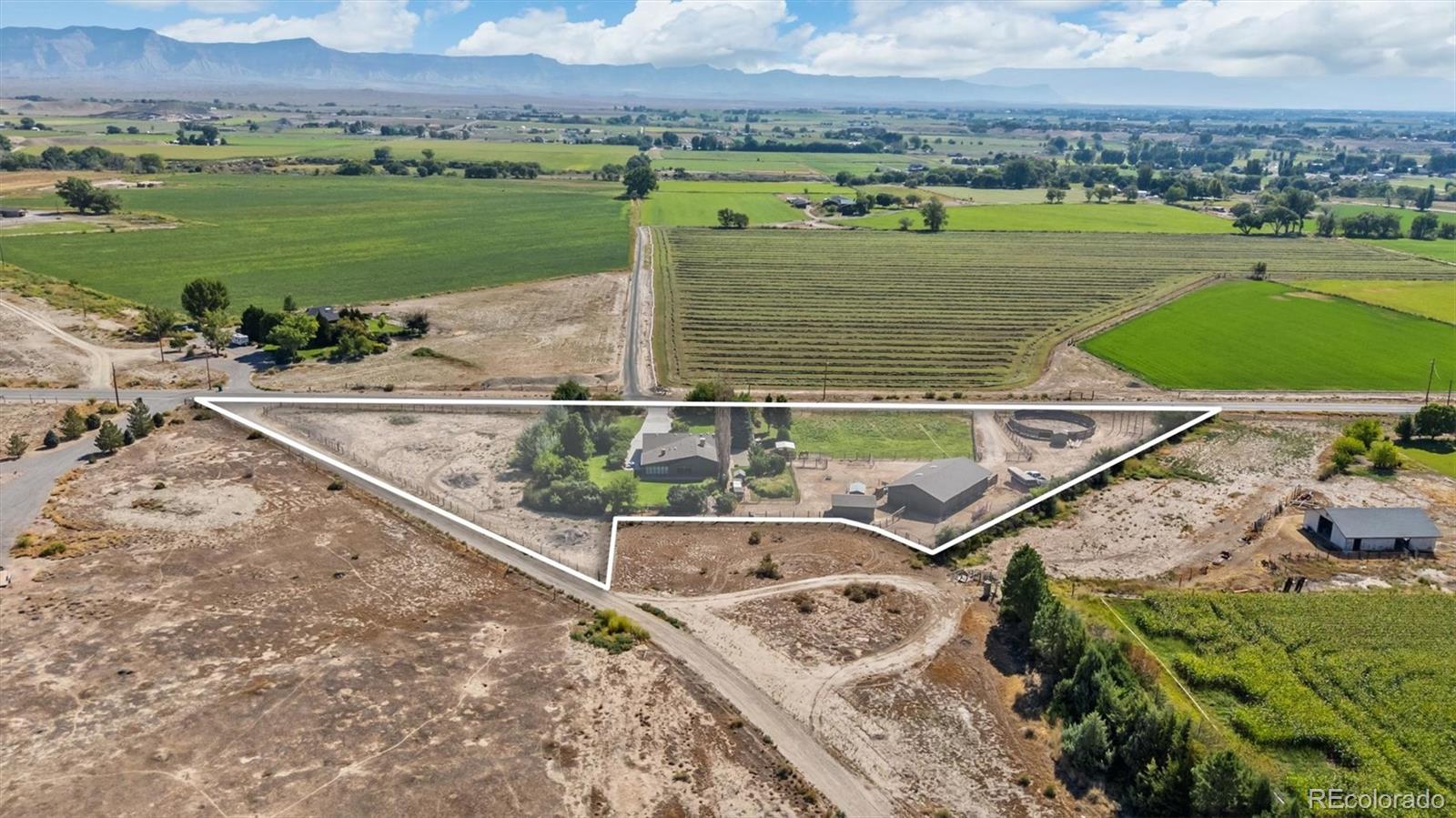 1473 17 Road Fruita, CO 81521 - Photo 4 of 35 a view of a city from a terrace
