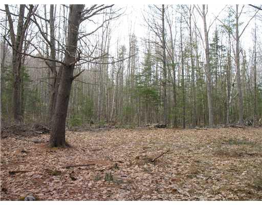 146 Indian Road Wiscasset, ME 04578 - Photo 3 of 7 Land/Lot.