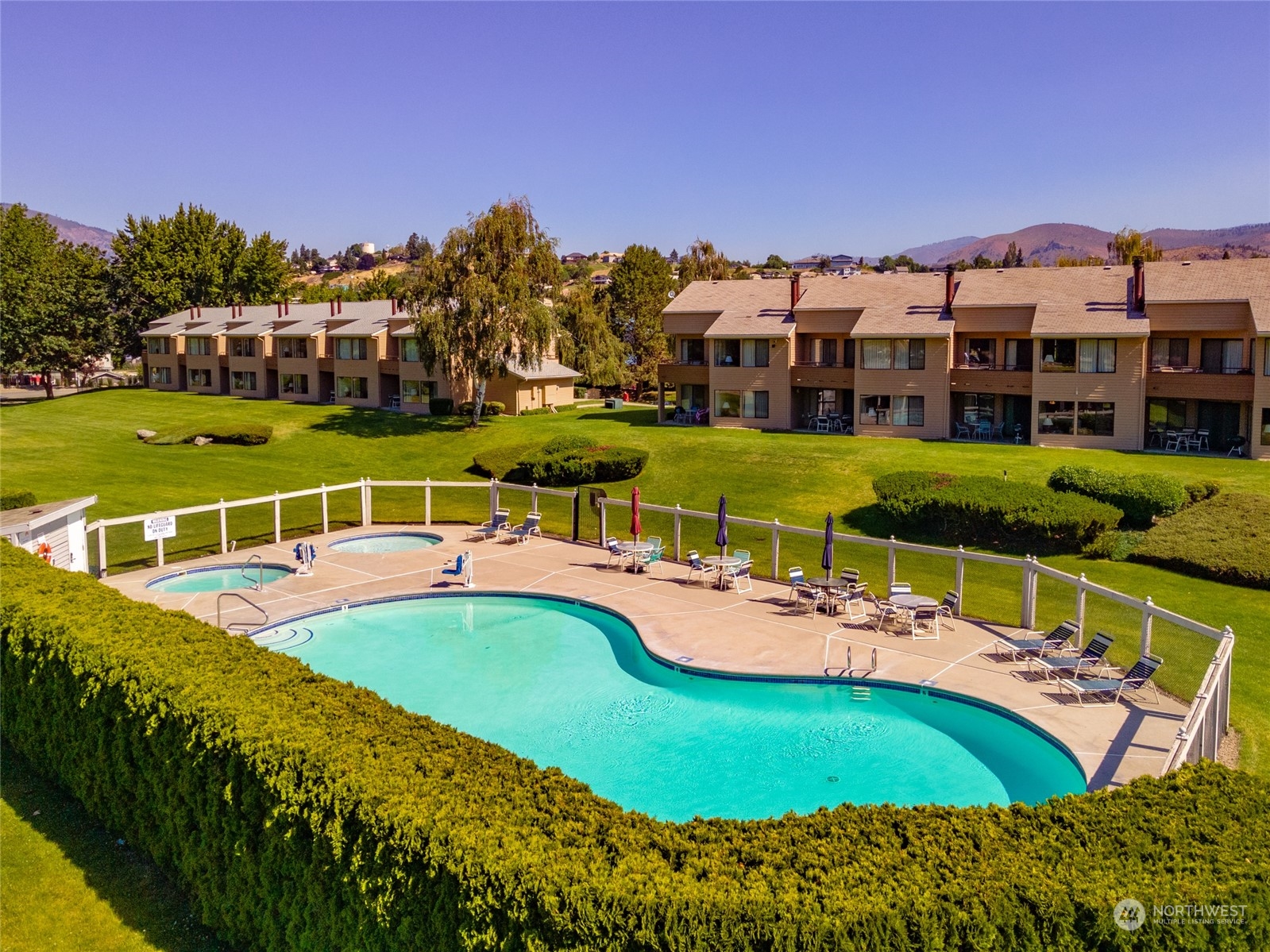 a view of a swimming pool with a garden