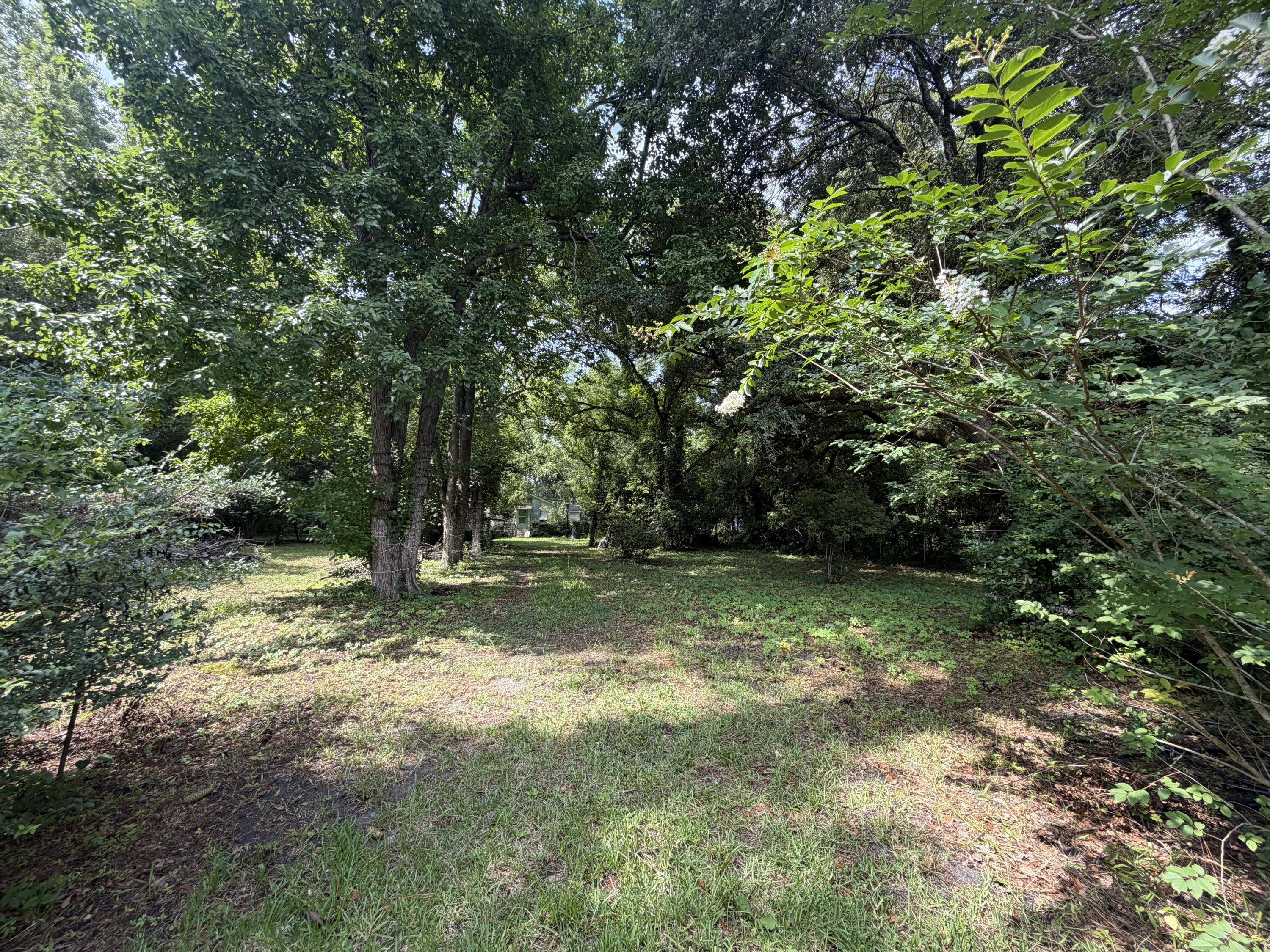 107 Lockhart Street Walterboro, SC 29488 - Photo 2 of 21 IMG_4971