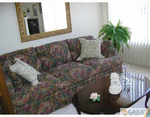 3 B Hempstead Road Monroe Township, NJ 08831 - Photo 3 of 8 Gallery Image 3