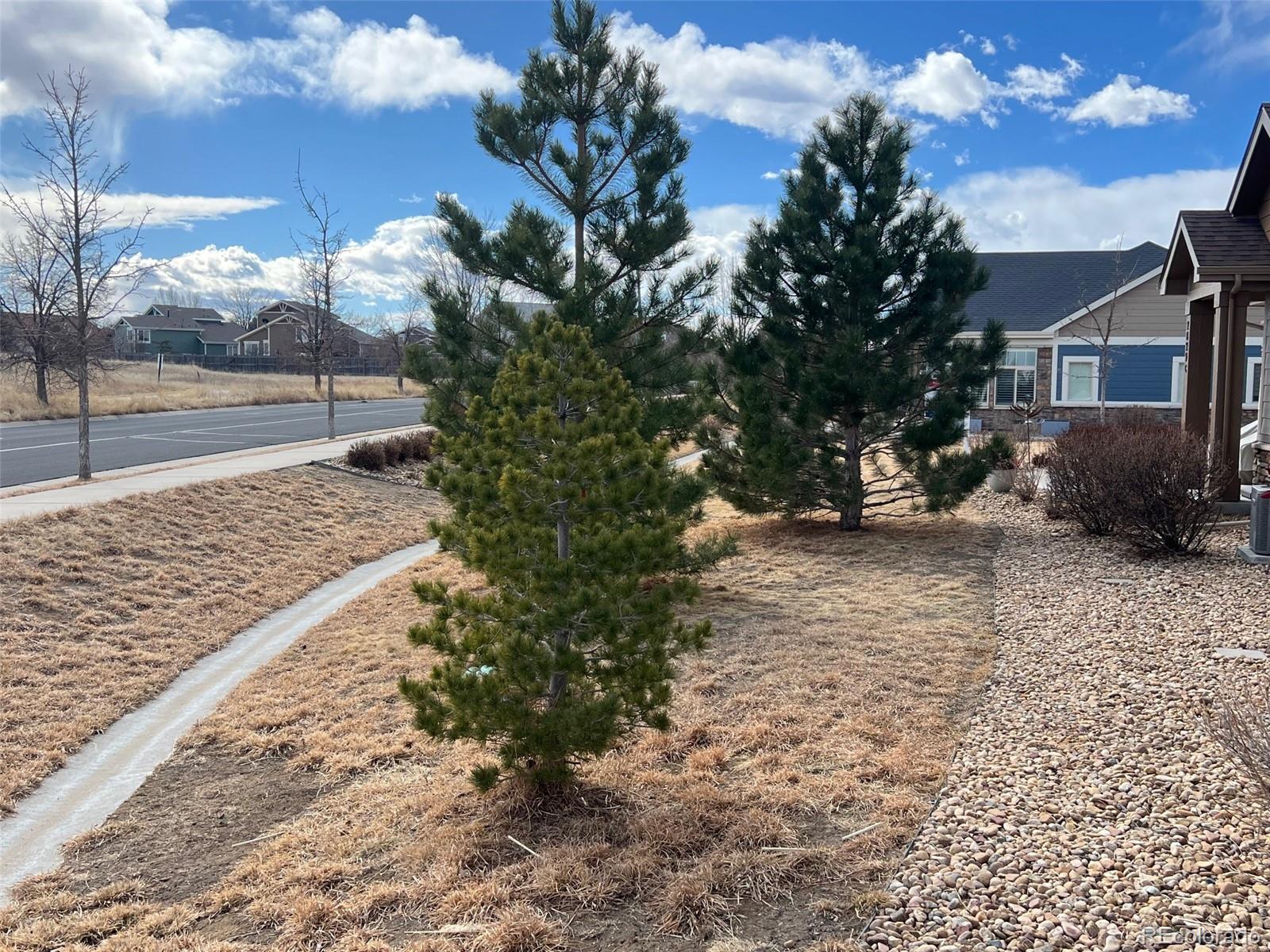 2029 South Flanders Way, Unit B Aurora, CO 80013 - Photo 3 of 42 a view of a yard with an tree