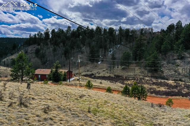 Tbd Valley Road Divide, CO 80814 - Photo 4 of 30 View of mountain feature with a forest view