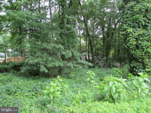 418 Haverhill Road Joppa, MD 21085 - Photo 27 of 28 a view of a lush green forest