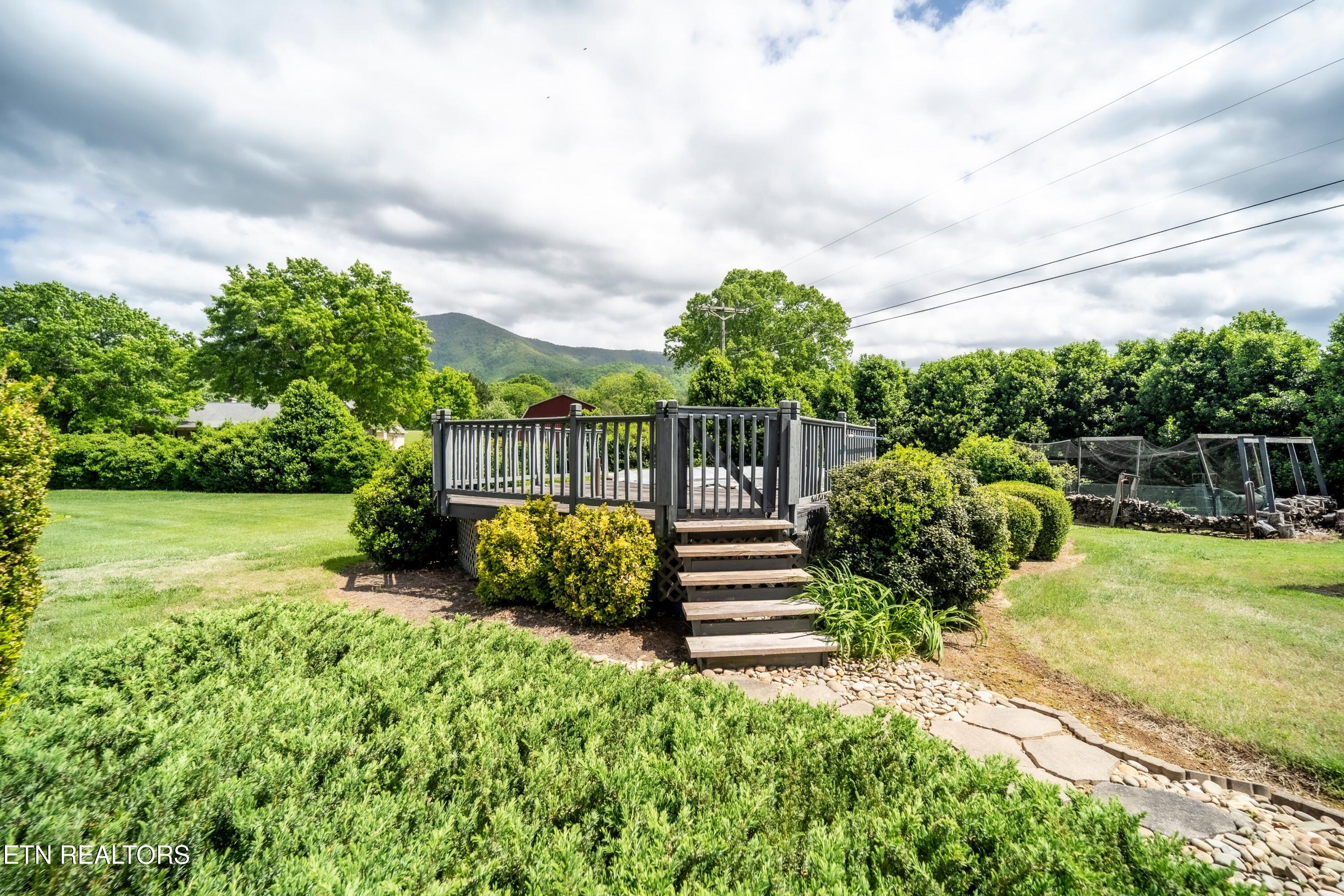 3938 Katy Hollar Rd. Sevierville, TN 37862 - Photo 28 of 35 pool
