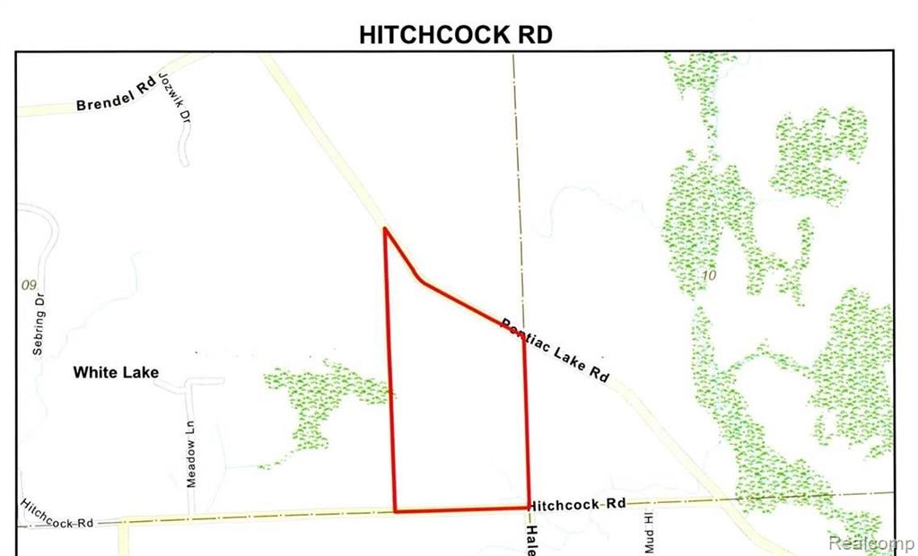 0 Hitchcock Road White Lake, MI 48383 - Photo 3 of 3