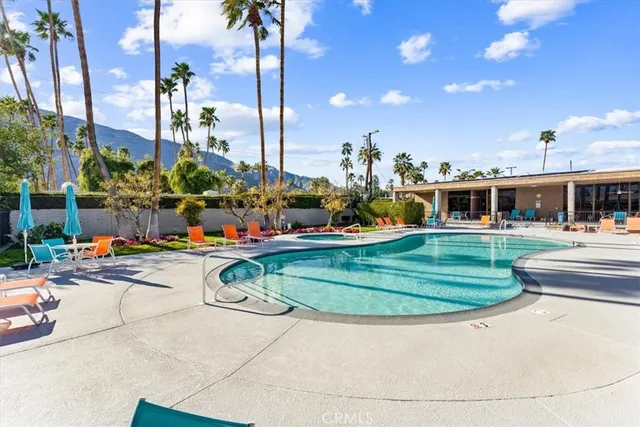 a row of palm trees sitting in a park with palm trees