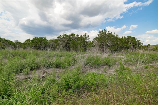 259-266 County Road Liberty Hill, TX 78642 - Photo 5 of 6 a view of a lush green forest with lots of trees