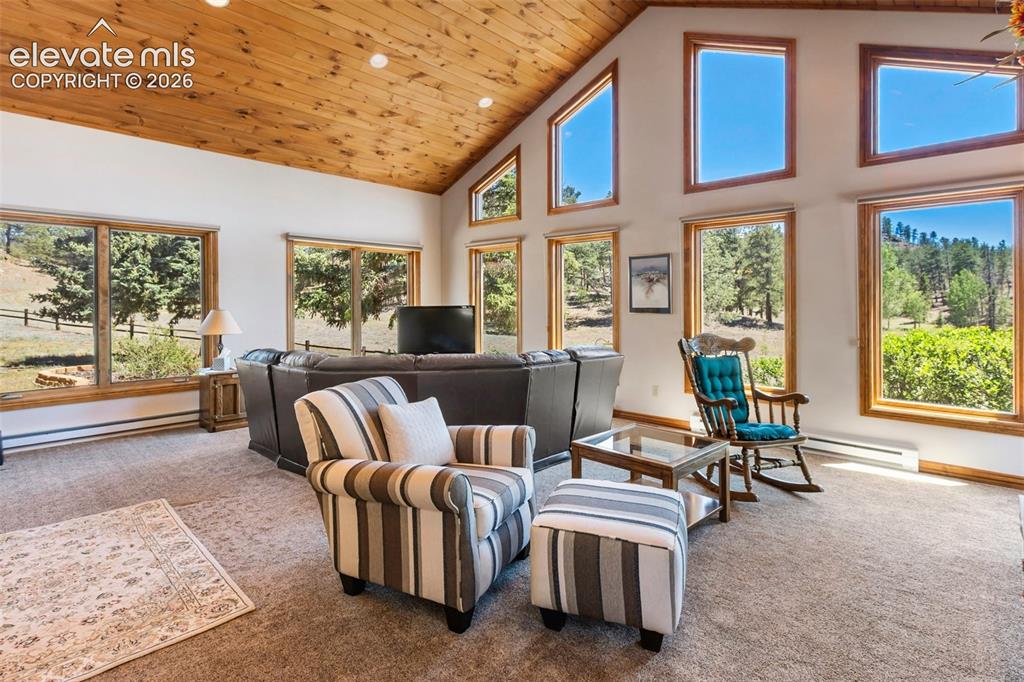 146 Toms Ranch Rd Lake Lake George, CO 80827 - Photo 12 of 30