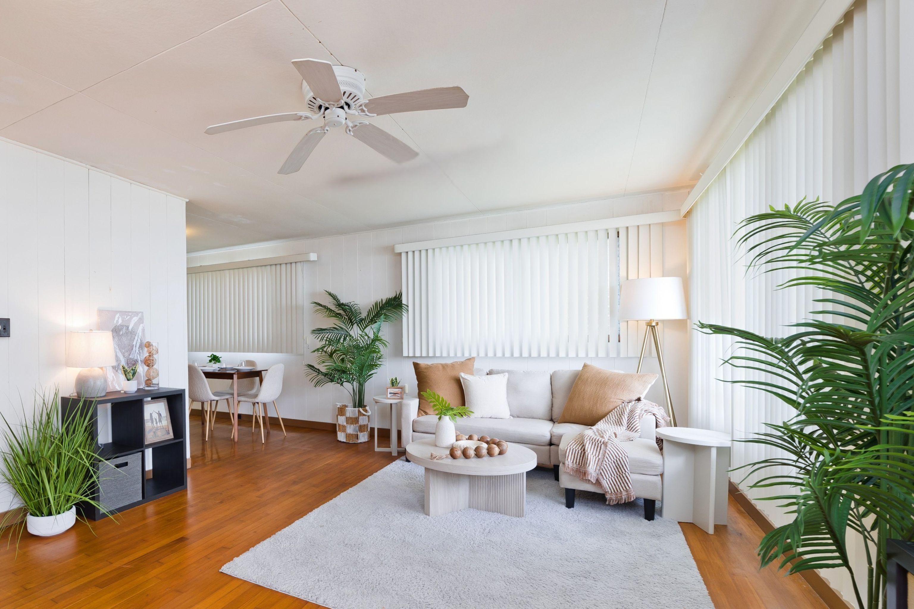 a living room with furniture and a potted plant