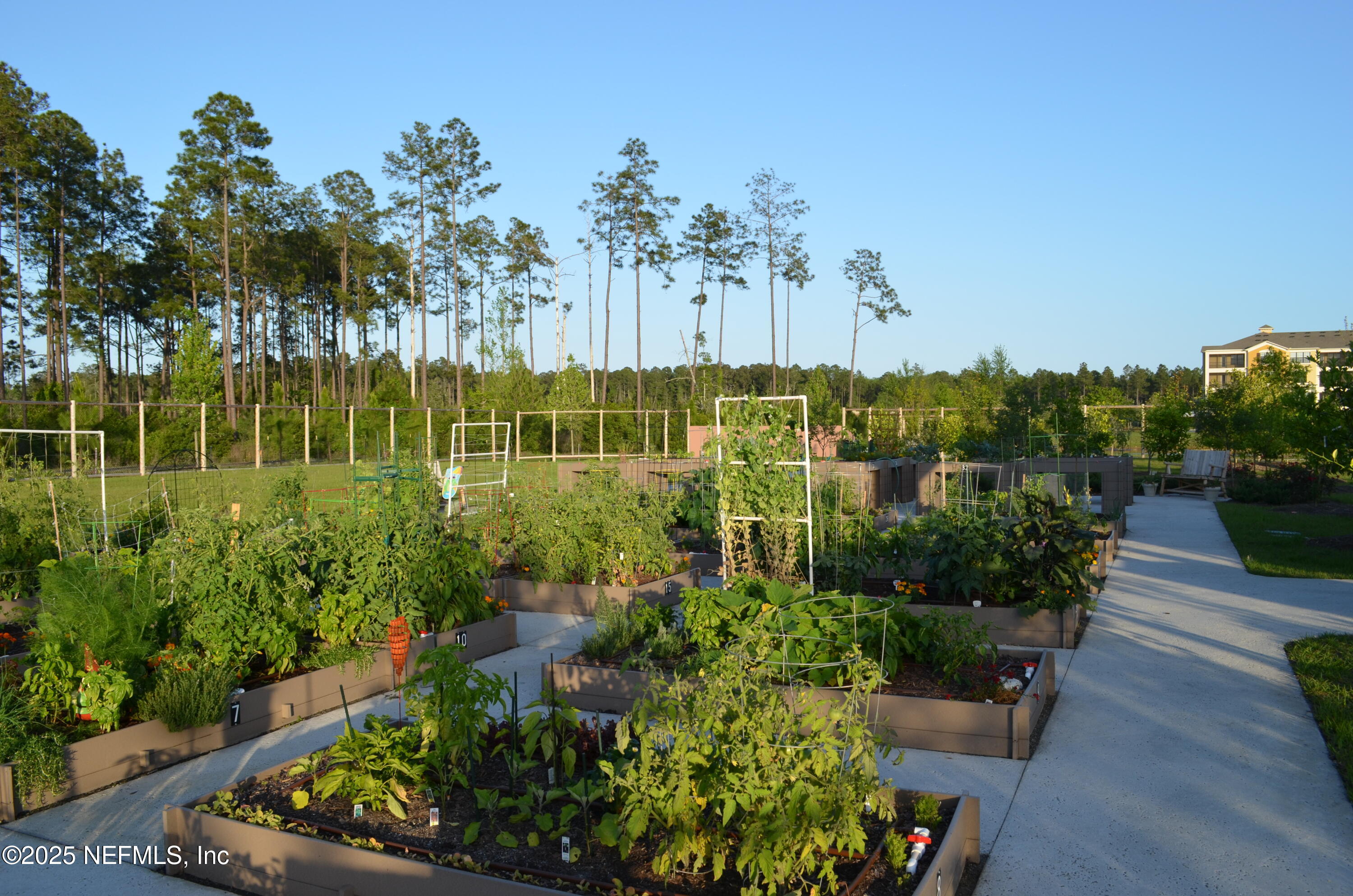 113 Marsh Hollow Road Ponte Vedra, FL 32081 - Photo 74 of 102 Gardens