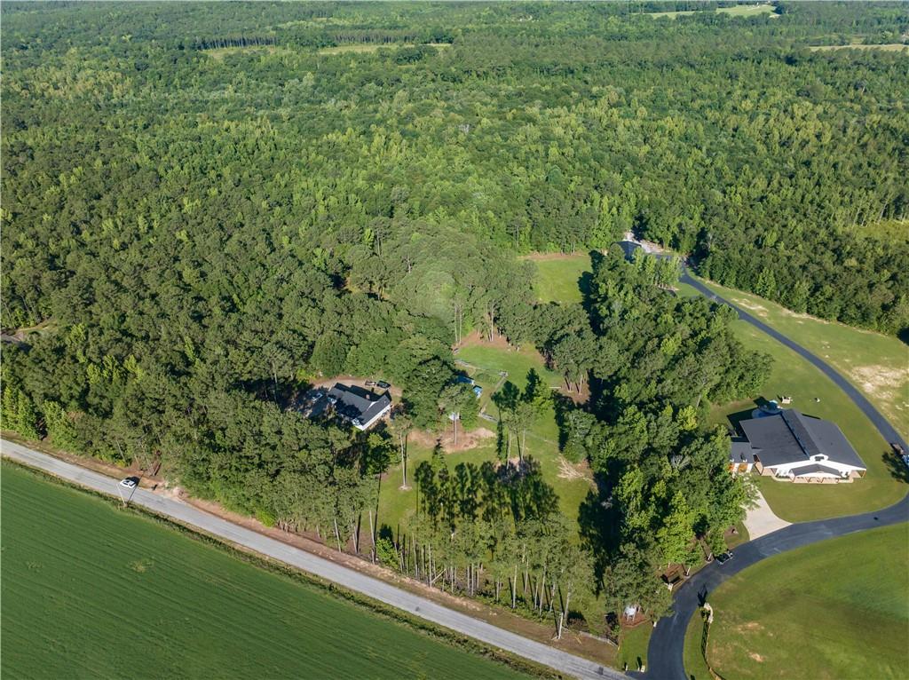 62 McCarthy Road Opelika, AL 36804 - Photo 61 of 74 Expansive land parcel featuring dense mature trees, open clearings, and a paved private driveway