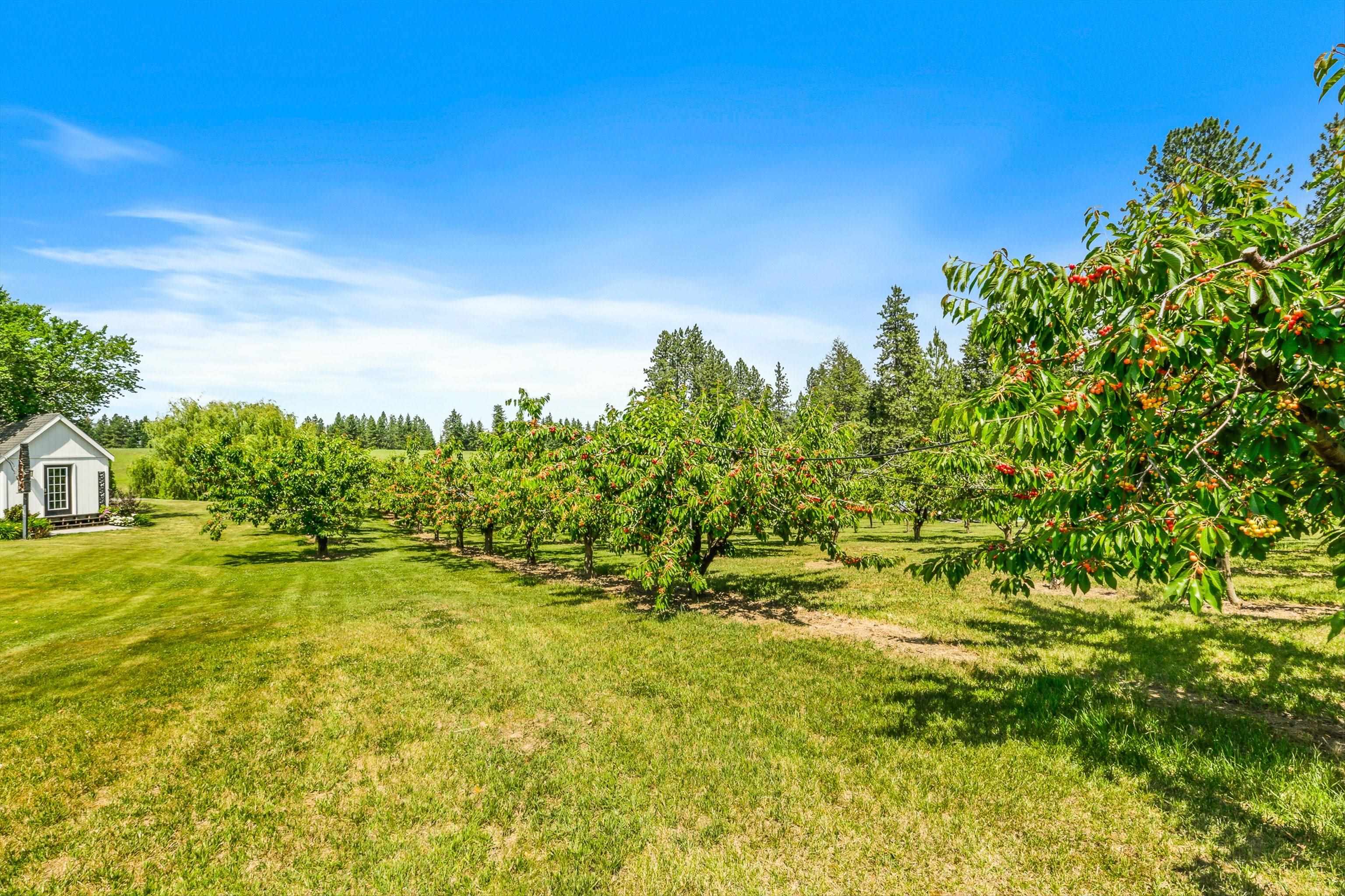 17911 North Day Mt Spokane Road Colbert, WA 99005 - Photo 41 of 48