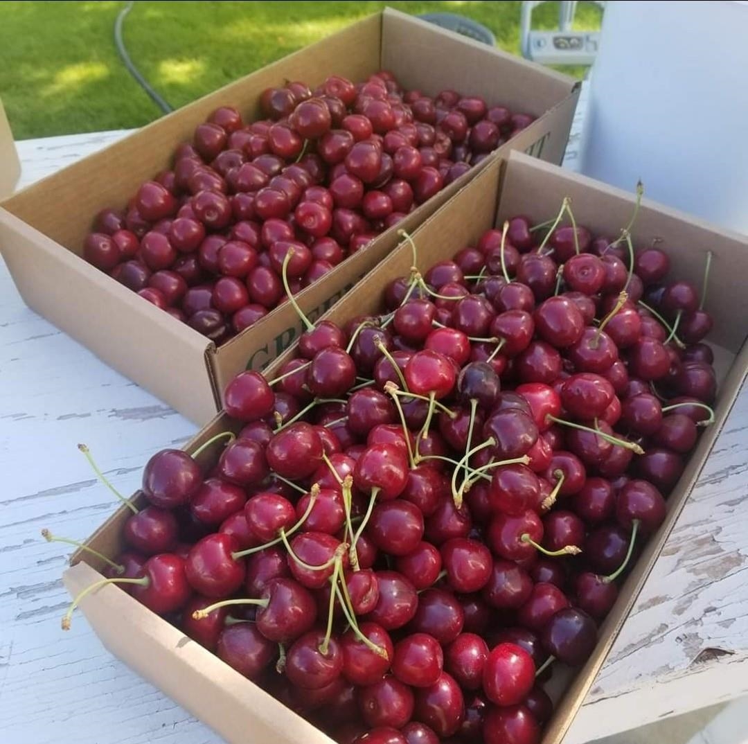 17911 North Day Mt Spokane Road Colbert, WA 99005 - Photo 42 of 48