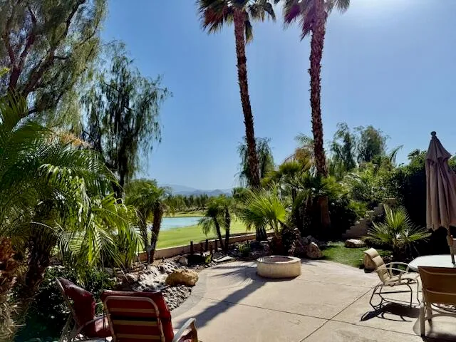 a view of a backyard with plants and palm trees