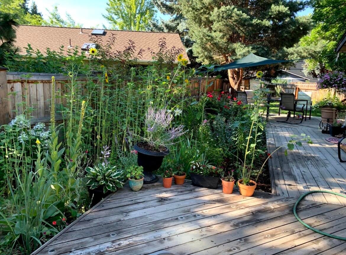 2900 Northeast Shepard Road Bend, OR 97701 - Photo 30 of 39 Halls_2900Shepard_perennialsv4