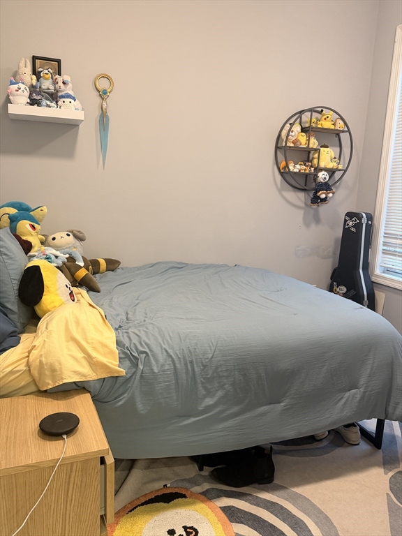 17 Mercer Street, Unit 2 Boston, MA 02127 - Photo 8 of 14