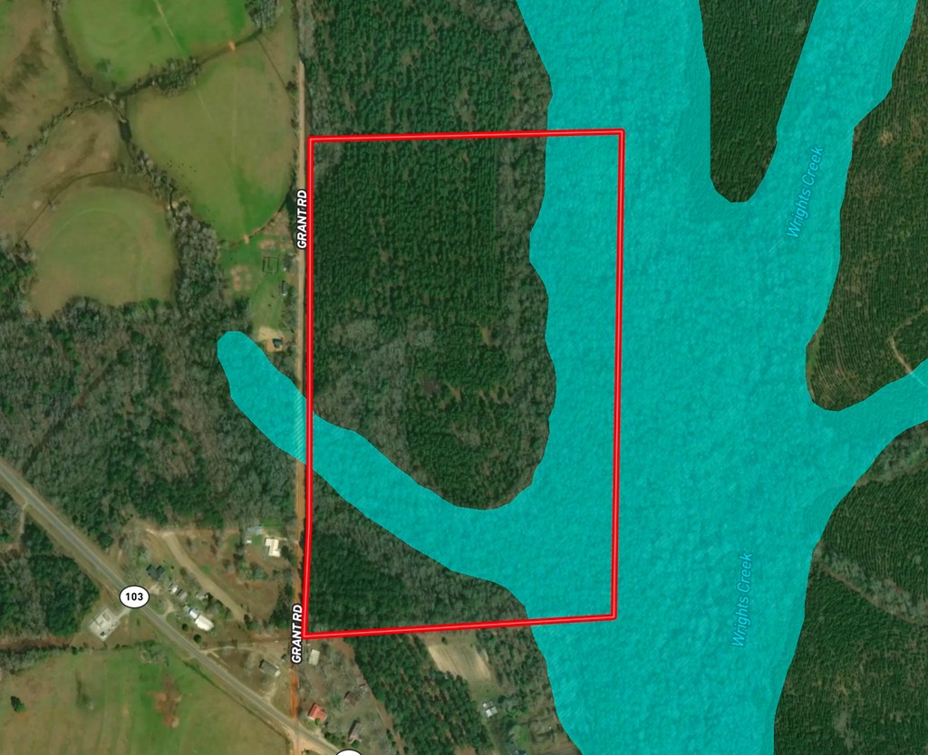 Undisclosed Address Slocomb, AL 36375 - Photo 19 of 23