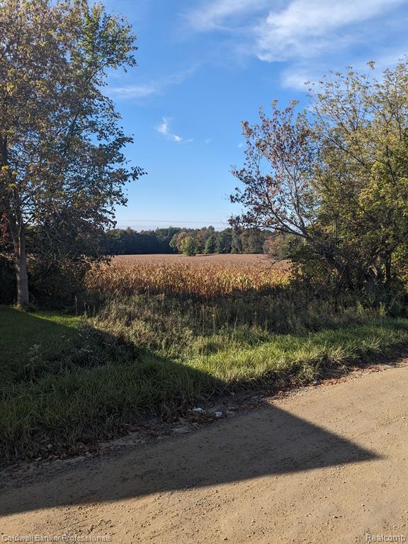 7168 Willis Road Brown City, MI 48416 - Photo 22 of 24