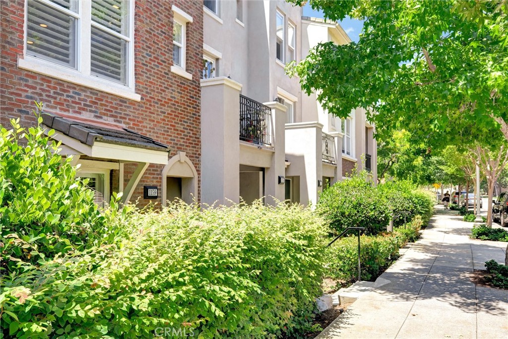 1159 Elfin Forest Road San Marcos, CA 92078 - Photo 5 of 40 a view of a building with potted plants and large trees