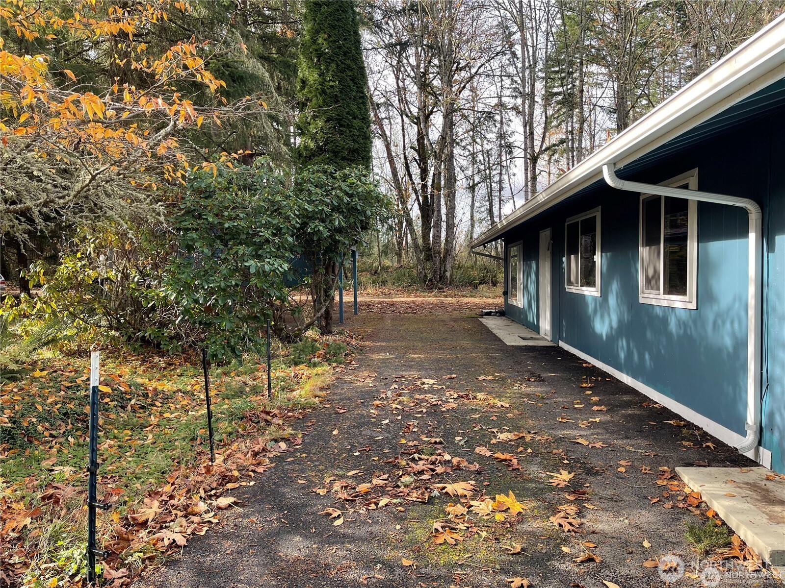 15407 264th Street East Graham, WA 98338 - Photo 15 of 23 a backyard of a house with lots of green space