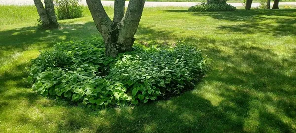 $290,000 | 9672 County Road 1, Pine River, MN 56474