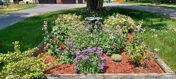 $290,000 | 9672 County Road 1, Pine River, MN 56474