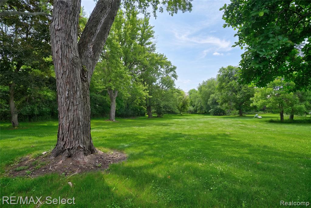 3323 East Carpenter Road Flint, MI 48506 - Photo 6 of 35
