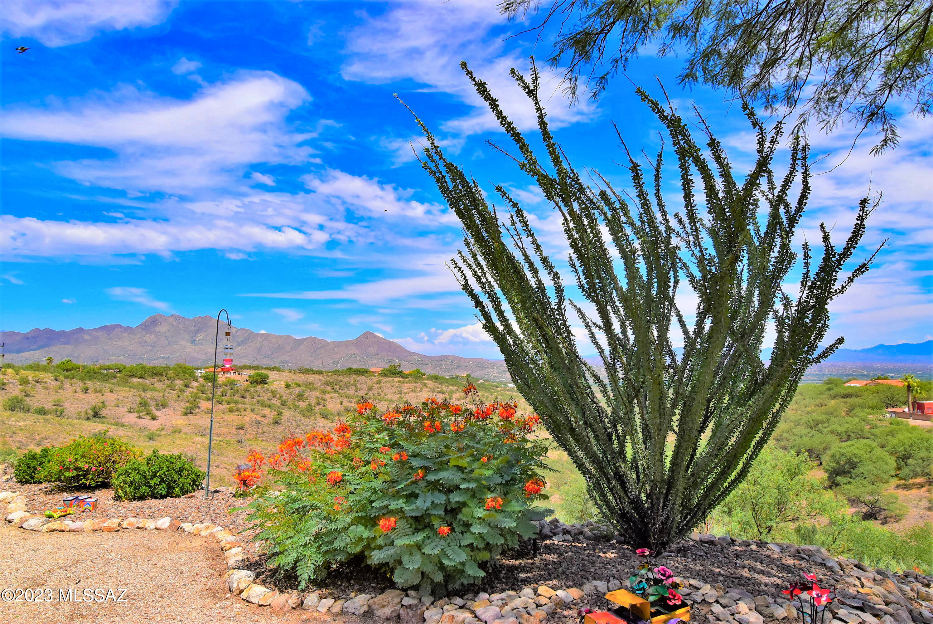 513 Camino Hombre De Oro Rio Rico, AZ 85648 - Photo 2 of 47