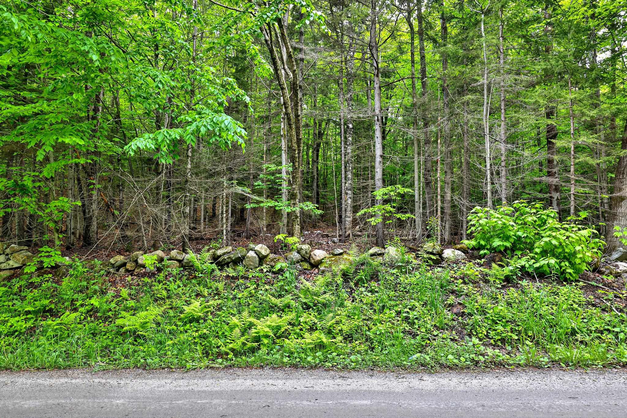 0 East Hill Road Andover, VT 05143 - Photo 2 of 17