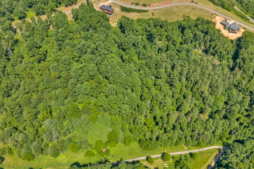 Lot 30 Eagle Rdg Parkway Butler, TN 37640 - Photo 4 of 26