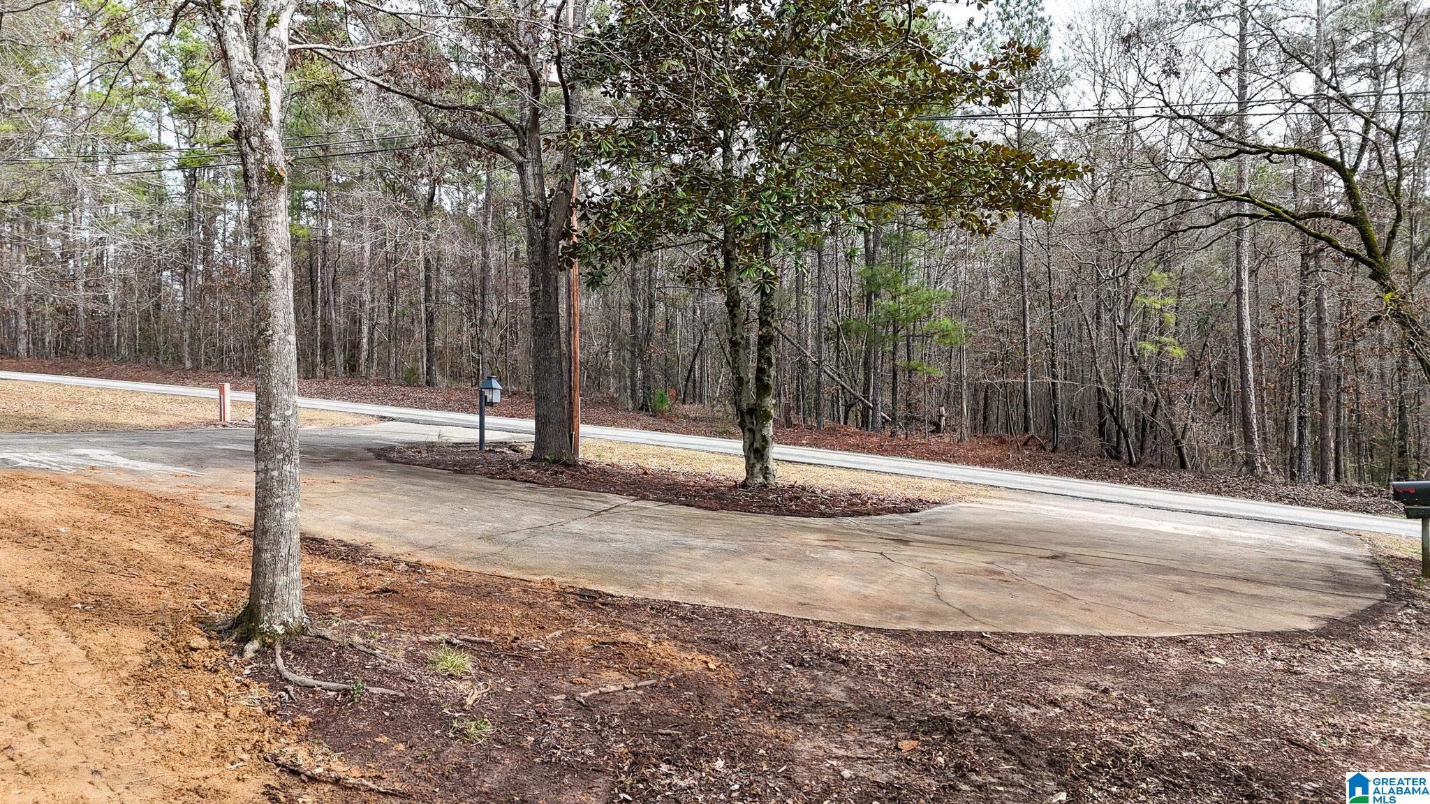 440 Funderburg Bend Road Pell City, AL 35128 - Photo 15 of 39