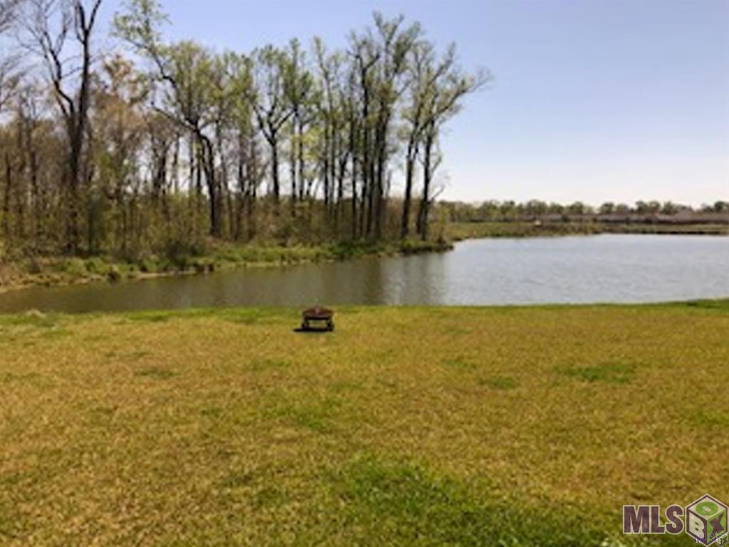 1103 Foxtail Drive Baton Rouge, LA 70820 - Photo 4 of 20