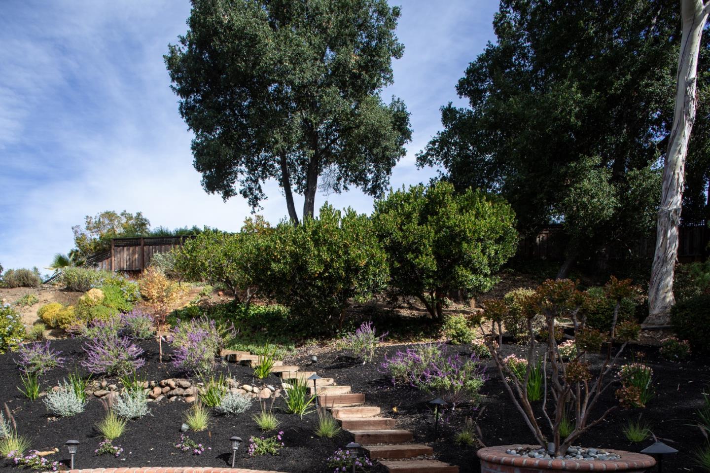 10490 Florence Drive Cupertino, CA 95014 - Photo 17 of 17 a view of a garden with plants and large trees