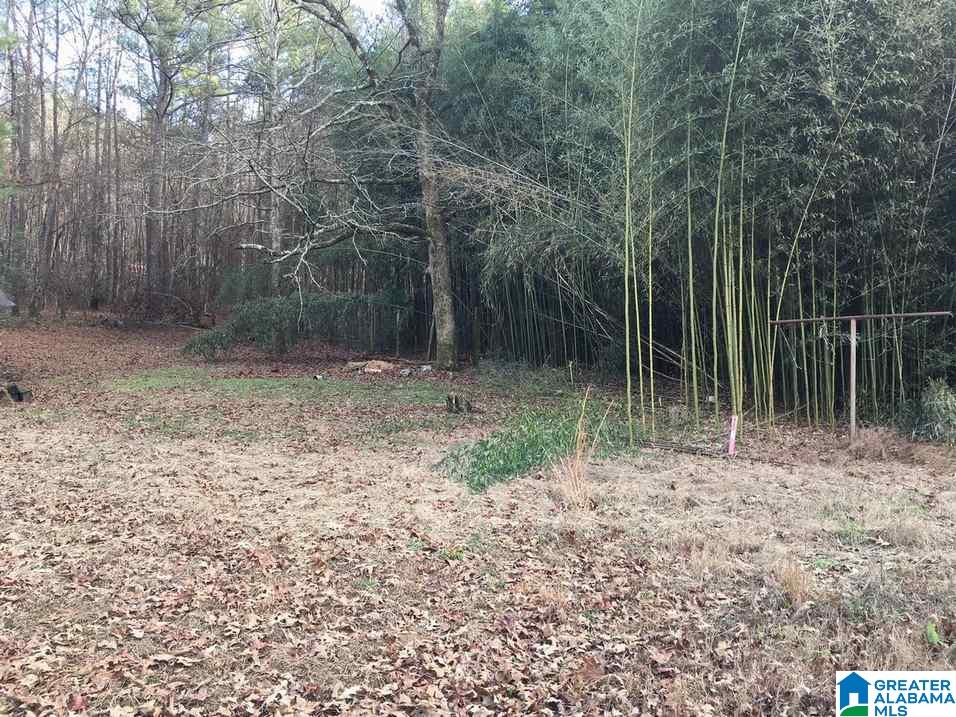 4470 Old Highway 75 Oneonta, AL 35121 - Photo 14 of 16