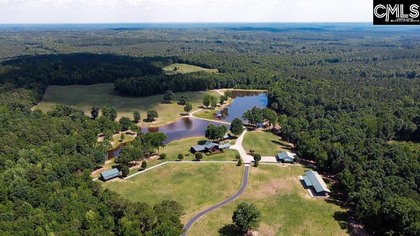 3296 Flat Rock Road Kershaw, SC 29067 - Photo 3 of 94