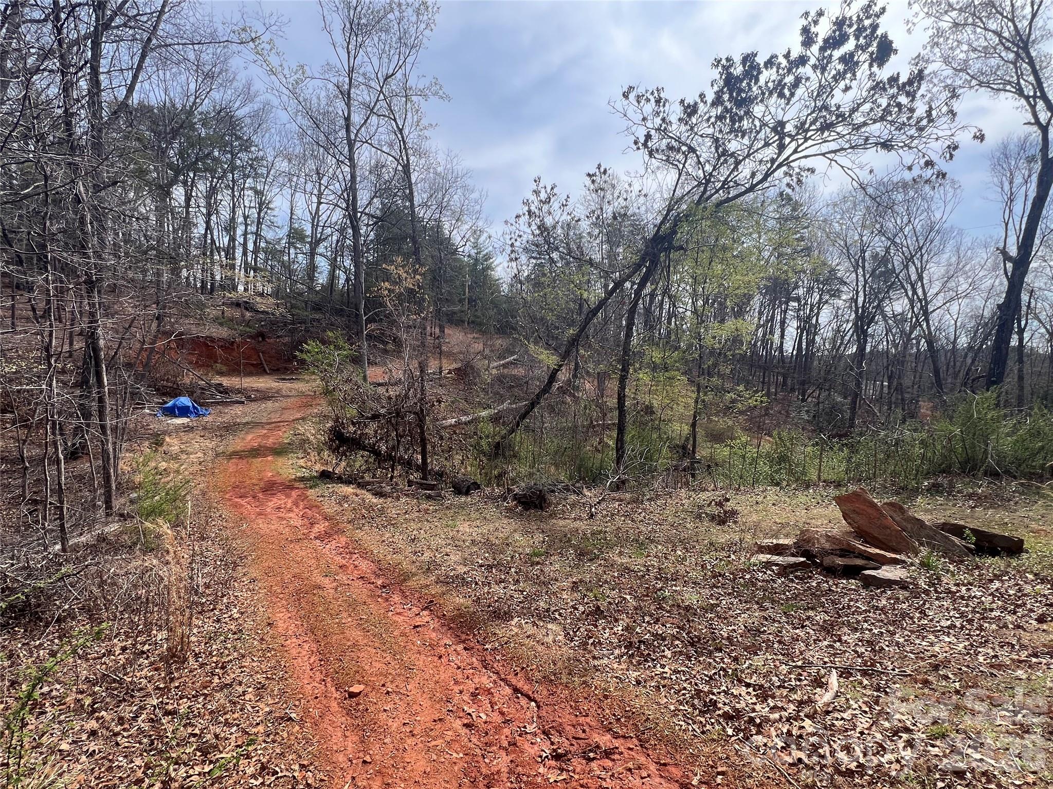 365 Hillbilly Lane Mill Spring, NC 28756 - Photo 15 of 22