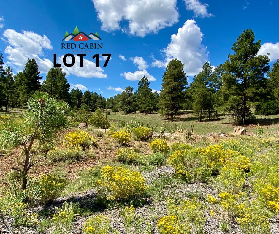 Lot 17 Red Cabin Ranch Vernon, AZ 85940 - Photo 1 of 18 a view of a water house with a yard