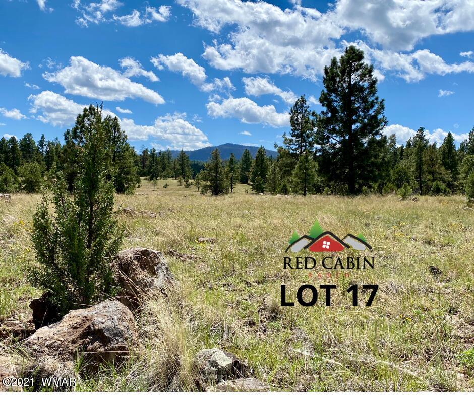 Lot 17 Red Cabin Ranch Vernon, AZ 85940 - Photo 6 of 18 a view of a wooden house with a yard