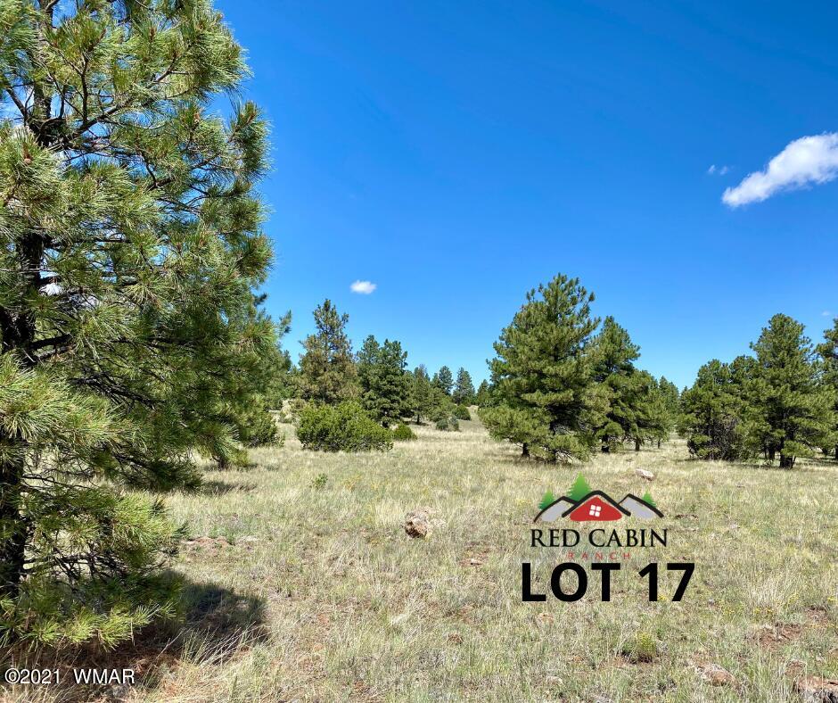Lot 17 Red Cabin Ranch Vernon, AZ 85940 - Photo 7 of 18 a view of a park with a tree