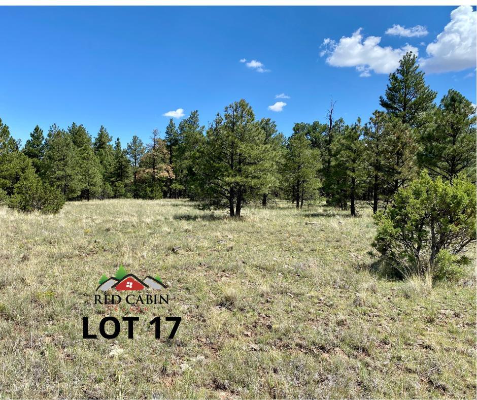 Lot 17 Red Cabin Ranch Vernon, AZ 85940 - Photo 8 of 18