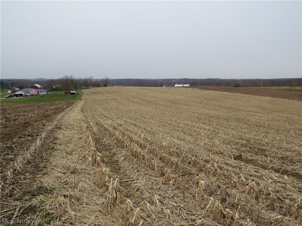 Kensington Road Northeast Carrollton, OH 44615 - Photo 4 of 11