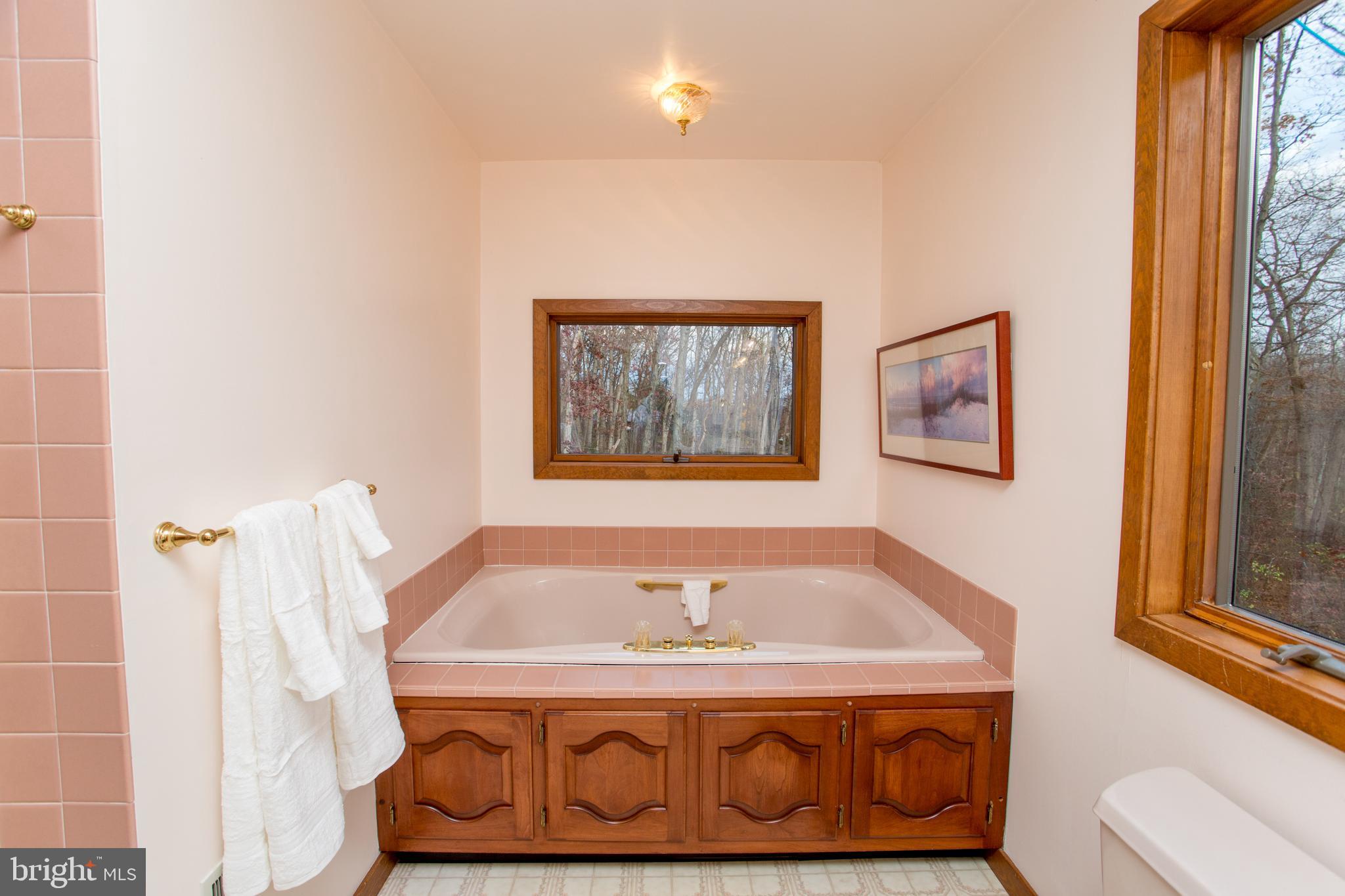 786 Ridge Road Telford, PA 18969 - Photo 53 of 105 jacuzzi in master bath