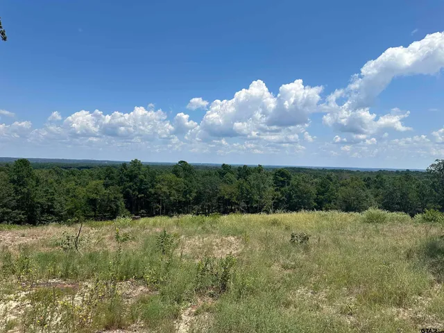 a view of a lake in middle of the green field and covered with green space