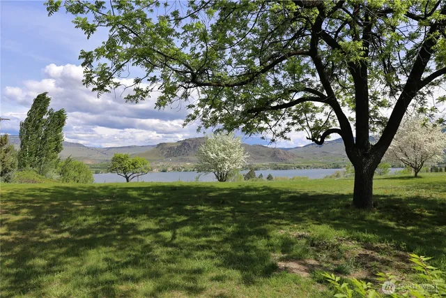 a view of a trees with a yard