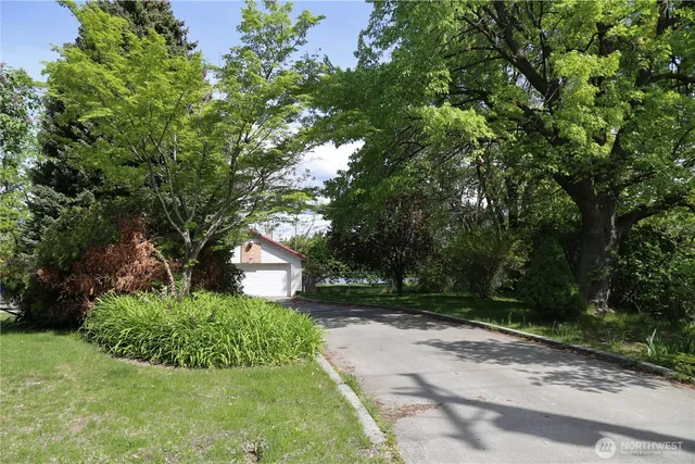 a view of a garden with plants